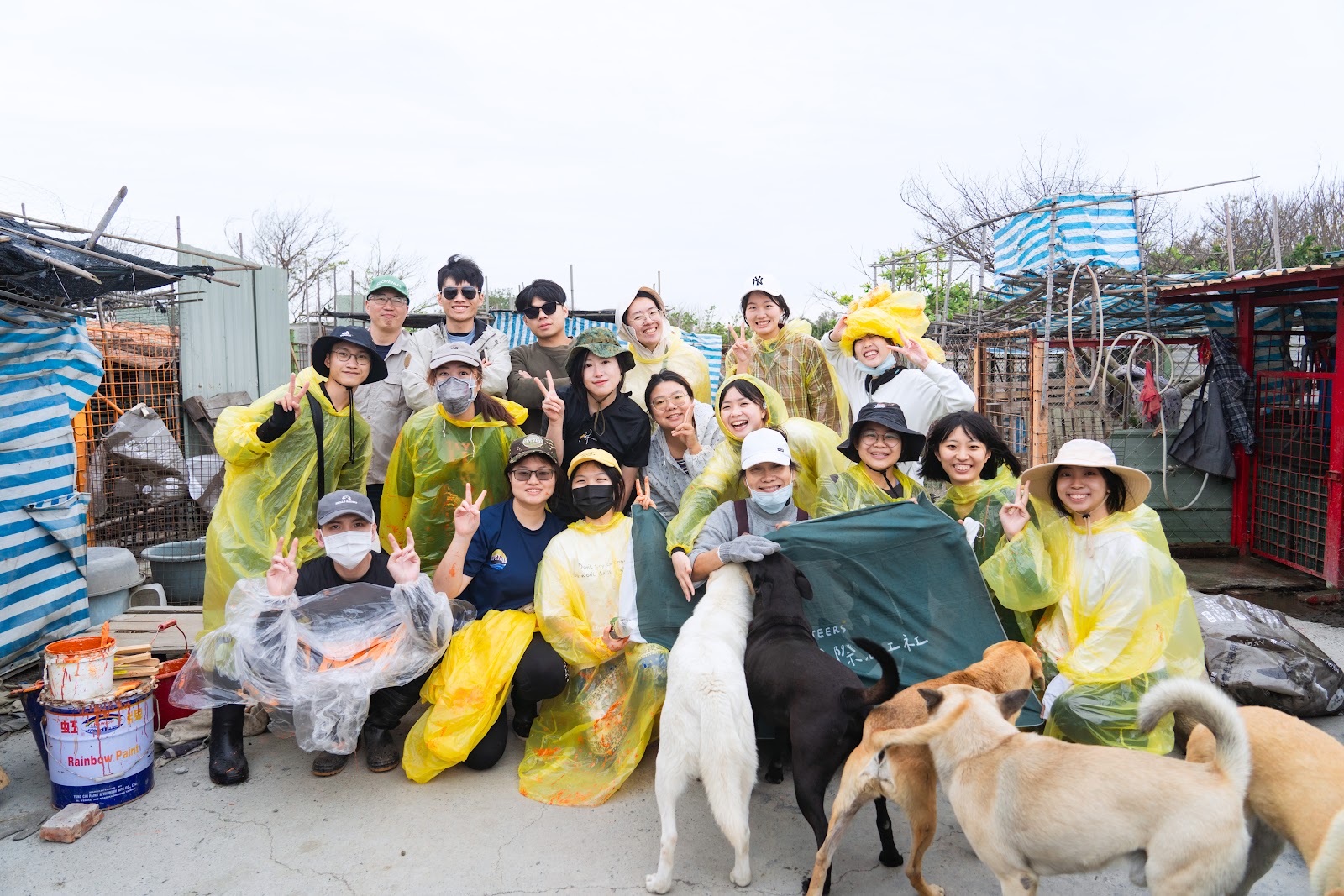 Dog Shelter
