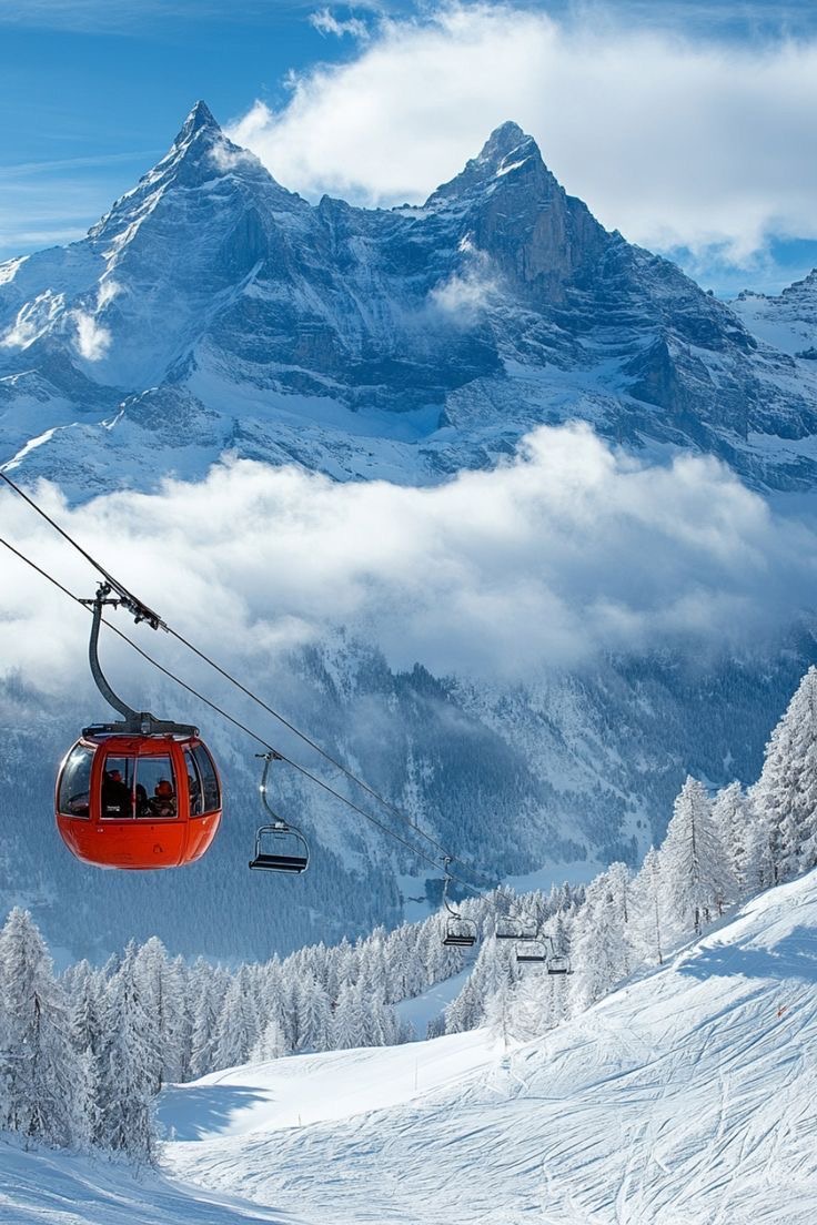 Gondola Rides