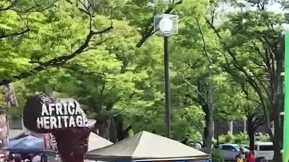 Lễ hội Di sản châu Phi tại Công viên Yoyogi, Tokyo khiến khách tham quan 'không thể bỏ lỡ' - Báo VietnamPlus