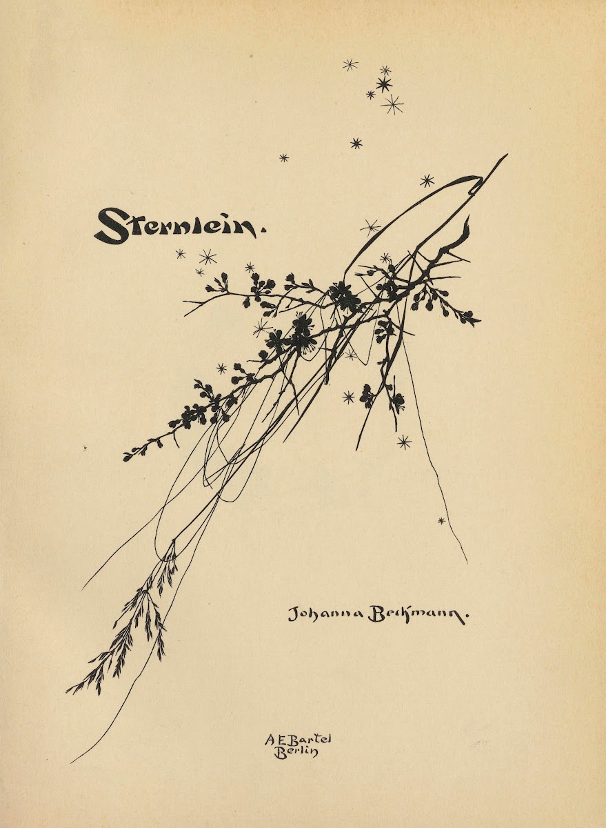 Sternlein Pl01 1930
