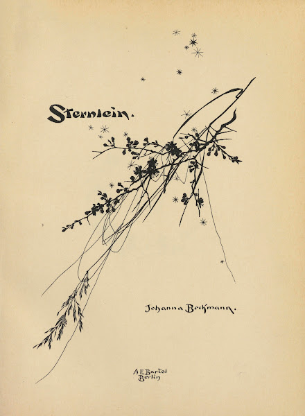 Sternlein Pl01 1930
