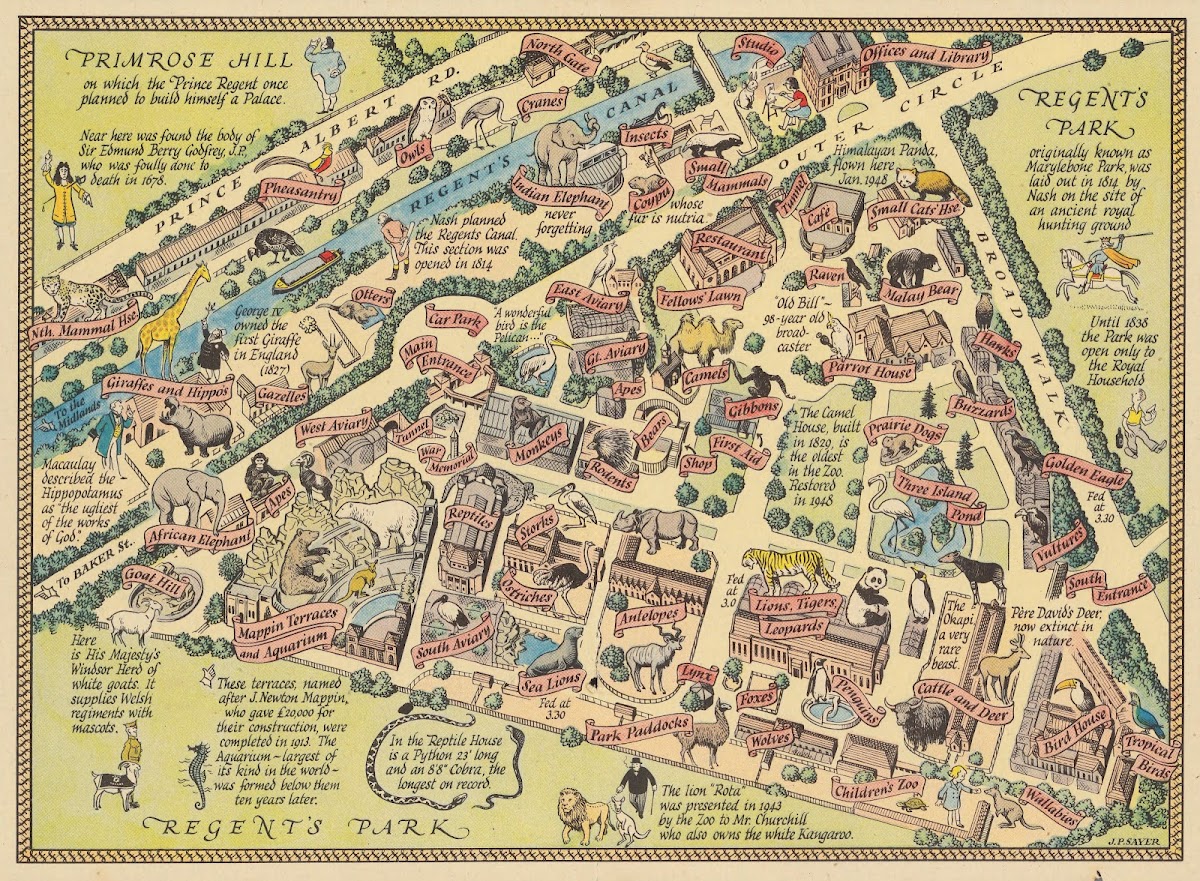 A Map Of Zoological Societys Garden In Regent Park  The Zoo 1947