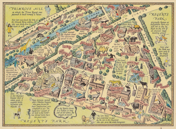 A Map Of Zoological Societys Garden In Regent Park  The Zoo 1947