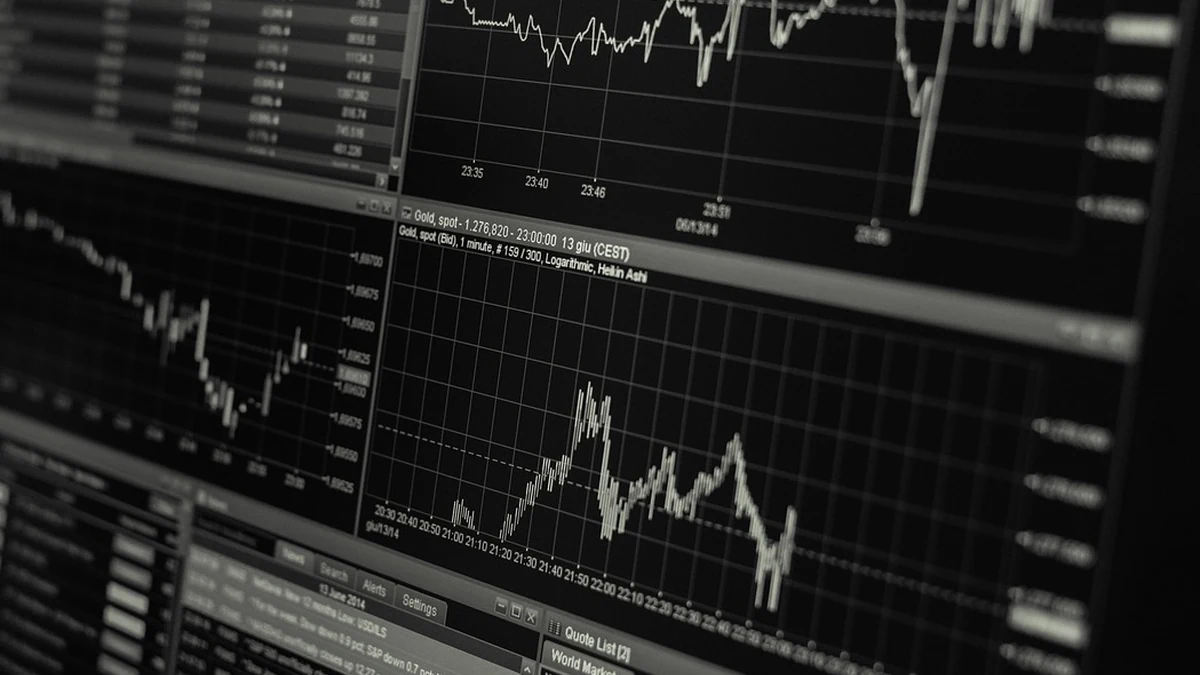 금리 인상기 투자 포트폴리오 구조와 리스크 관리 방안 분석