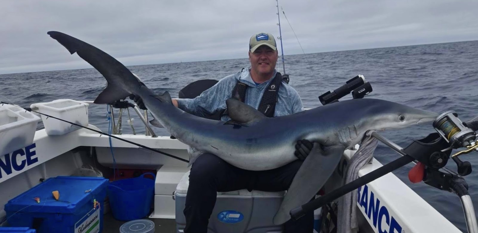 Steven Toner with a Blue Shark caught offshore in Cornwall