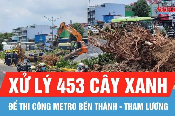 Xử lý 453 cây xanh để thi công metro Bến Thành - Tham Lương - Báo Sài Gòn Giải Phóng