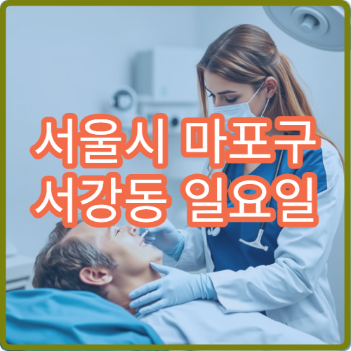 서울시 마포구 서강동 일요일 소아청소년과 발열 감기 진료