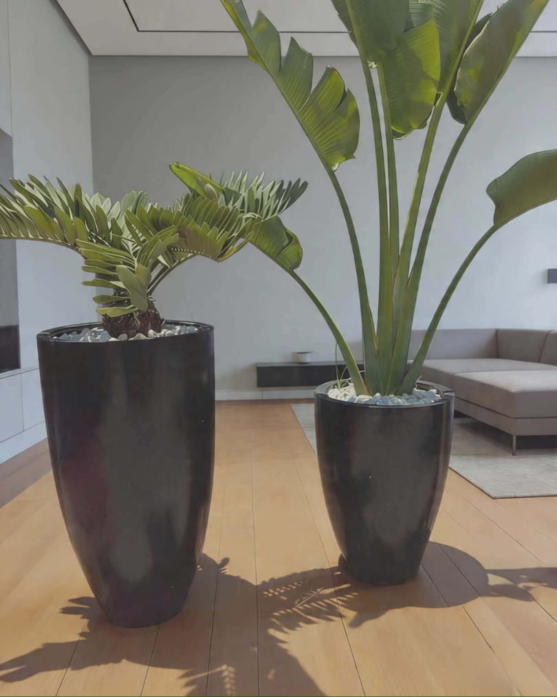 WMS concrete pot design 30