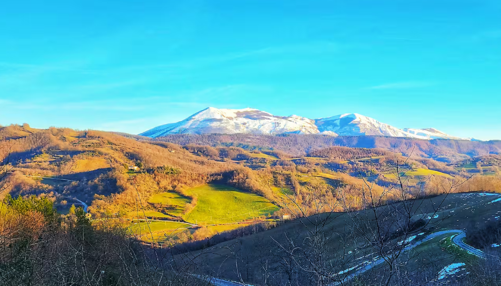 Monte Nerone innevato