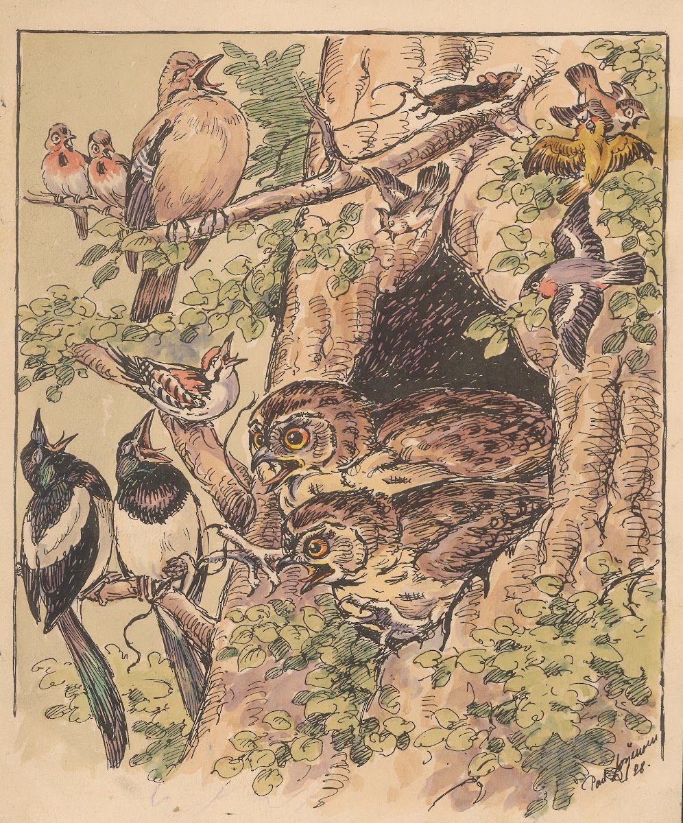 Two owls peer out from a hollow in a tree trunk 1928