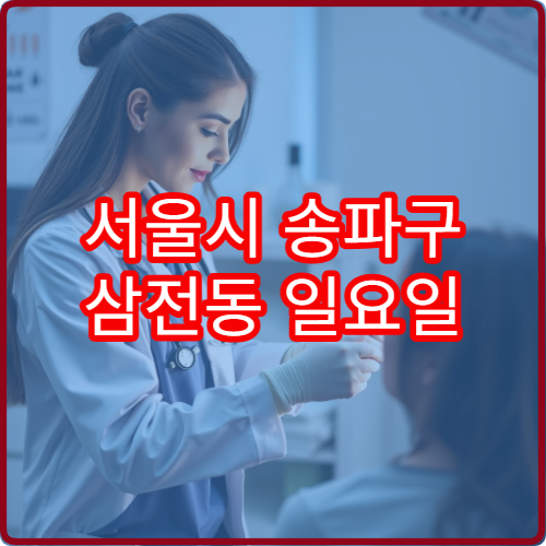 서울시 송파구 삼전동 일요일 안과 진료 병원 눈 검사
