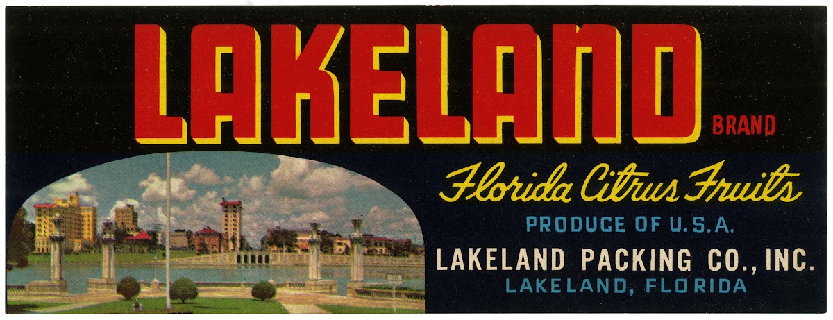Lakeland Brand Florida Citrus Fruit Label 1930 1950
