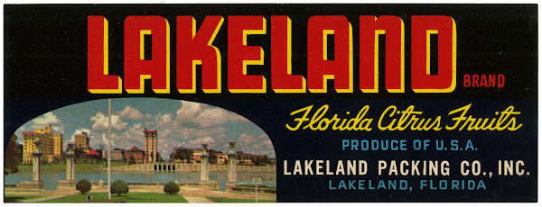Lakeland Brand Florida Citrus Fruit Label 1930 1950