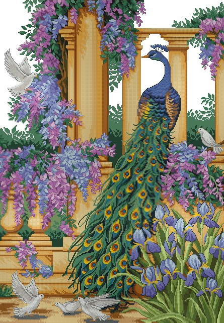 CMP 53373 Peacock Elegance