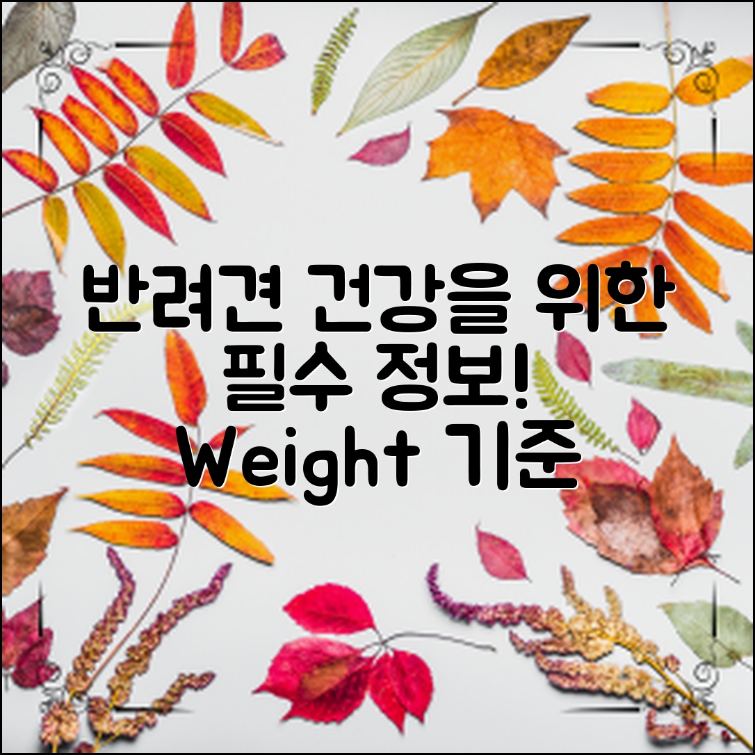 건강한 반려견을 위한 필수 정보! 다양한 체중 기준을 통해 강아지 건강을 지키는 방법을 알아보세요.