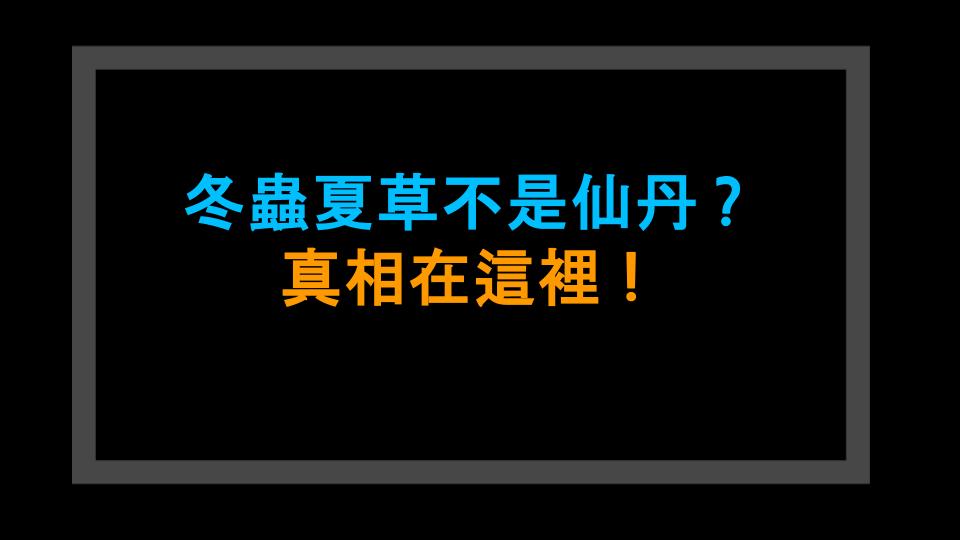 冬蟲夏草不是仙丹？真相在這裡！