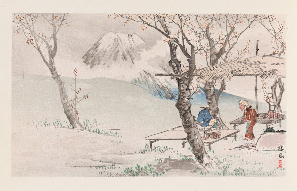 Seiho juni Fuji Pl03 1894