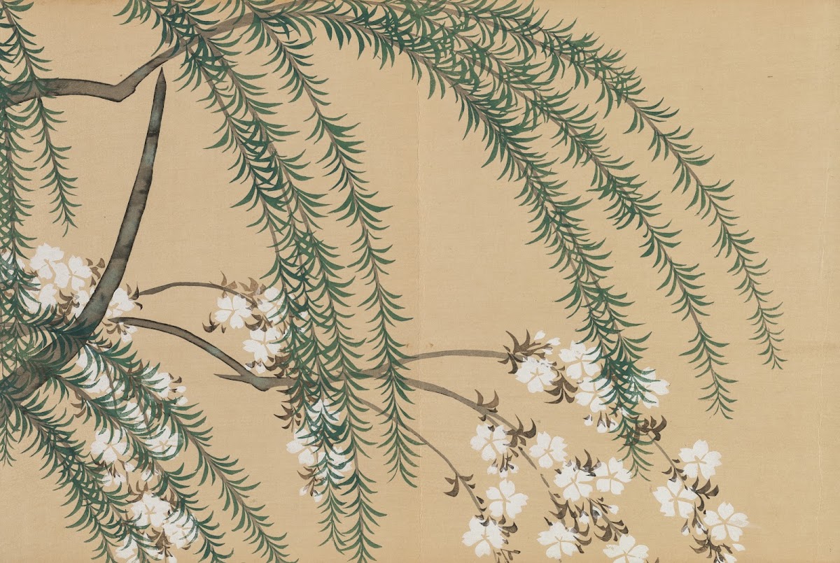 Willow and Cherry Yanagizakura 1909 1910