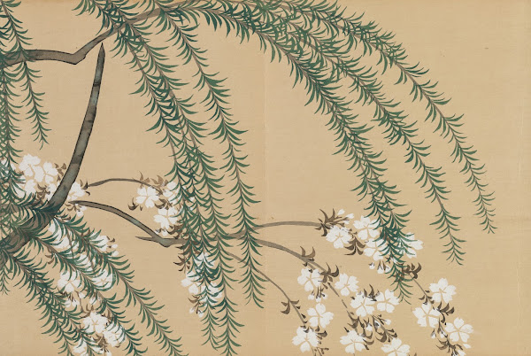 Willow and Cherry Yanagizakura 1909 1910