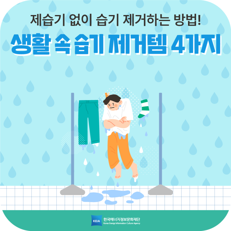 섹션 3 이미지