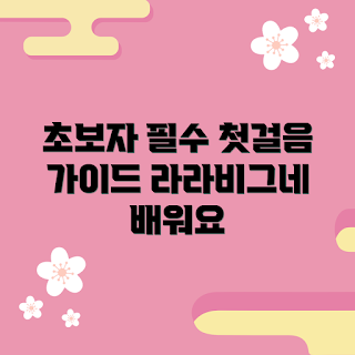 라라비그네, 라라비그네 초보자, 기초 가이드, 라라비그네 활용법, 첫걸음 라라비그네