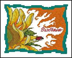 CMP 171505 Sunflower