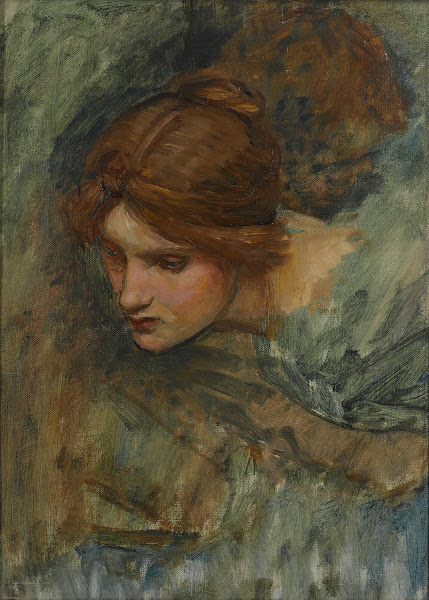 Study For The Head Of Venus In The Awakening Of Adonis