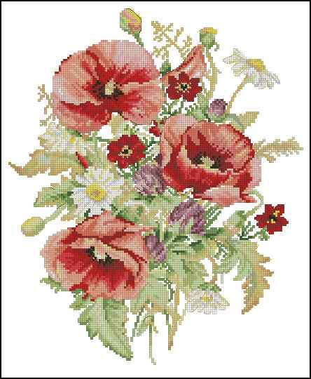 CMP 170193 Poppies