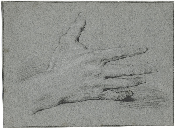 Study of a hand with stretched fingers