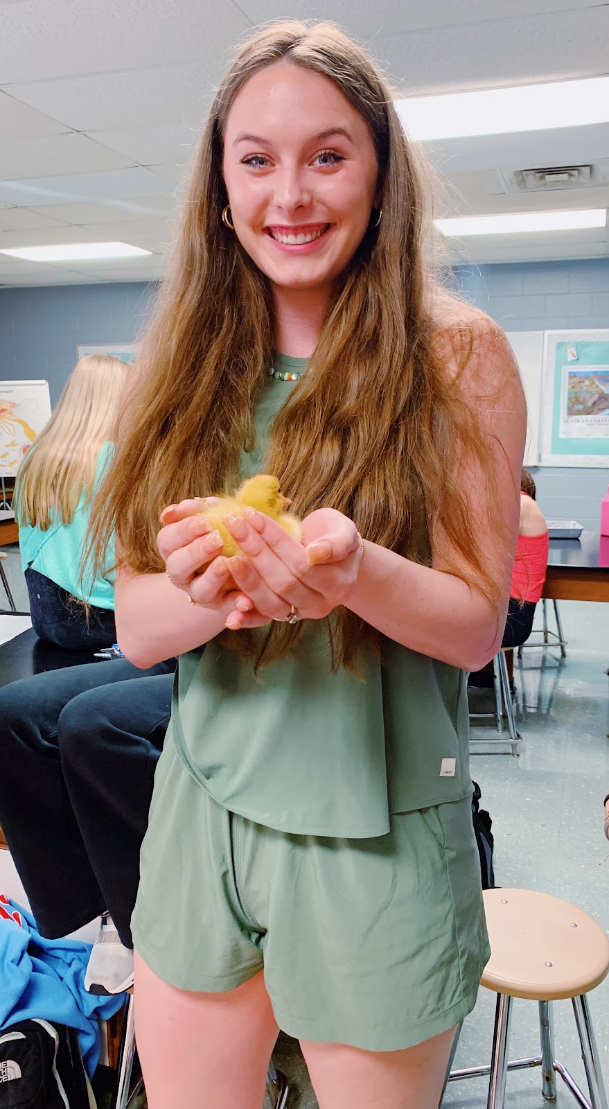 Pekin Grimaud Hybrid