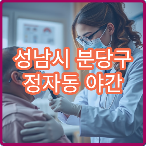 성남시 분당구 정자동 야간 치과 진료 가능한 병원 응급 치통 진료 정보