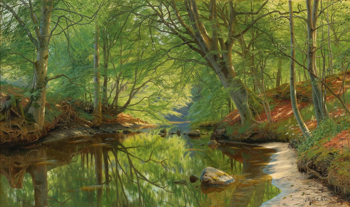 Forest Stream 1896