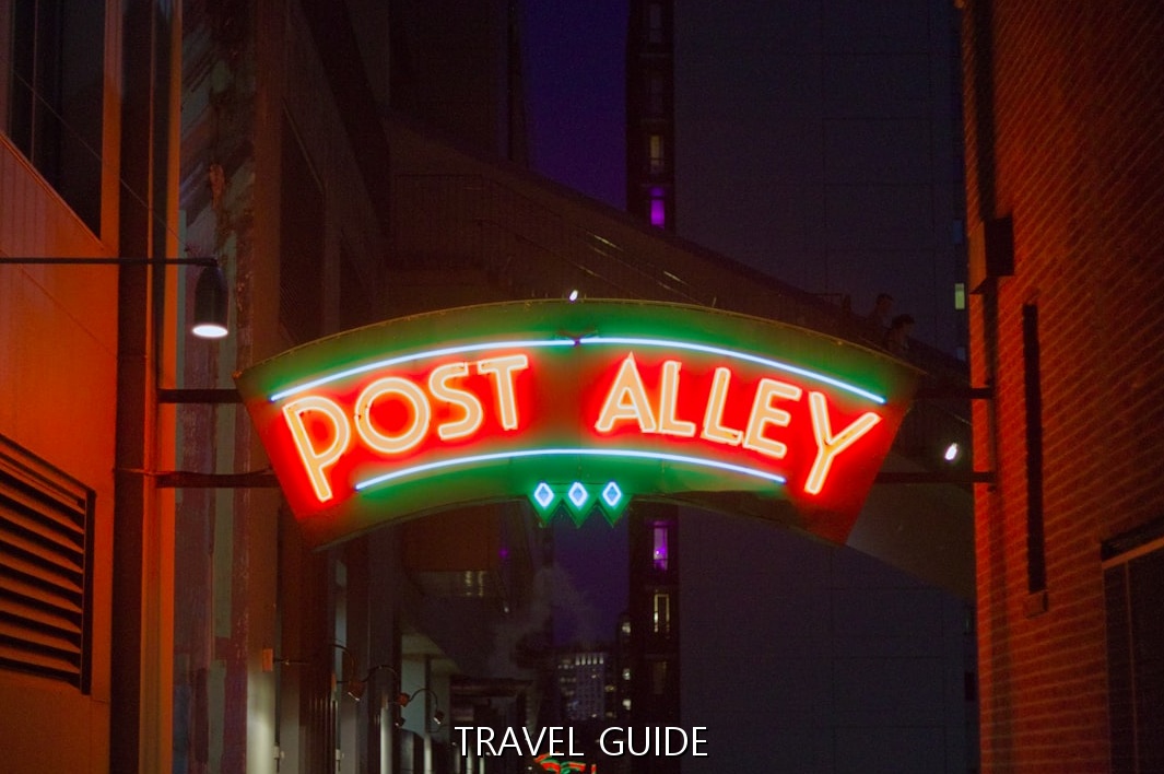 금잔디, 조항조와 함께하는 축제의 밤: 특별 공연 및 체험 프로그램