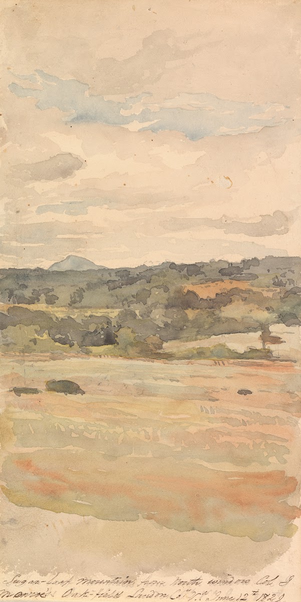 Sugar Loaf Mountain From North Window Col J Monroes Oak Field Landon Co Va June