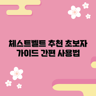 체스트벨트자석, 초보자 사용법, 체스트벨트 사용, 체스트벨트 추천, 운동 장비