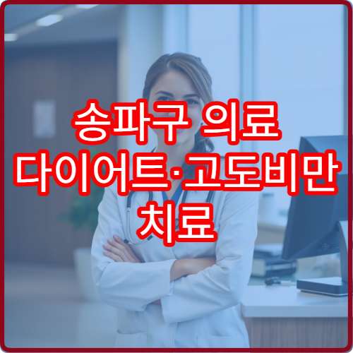송파구 의료 다이어트·고도비만 치료 전문 병원 안내