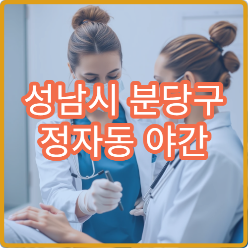 성남시 분당구 정자동 야간 정신건강의학과 진료 가능한 병원 상담 진료 안내