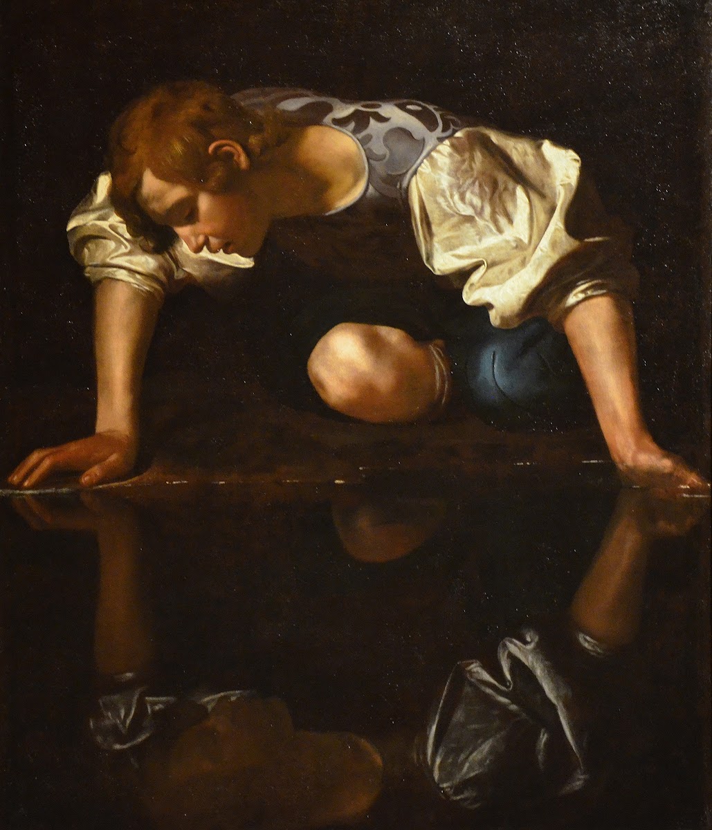 Narcissus 15971599