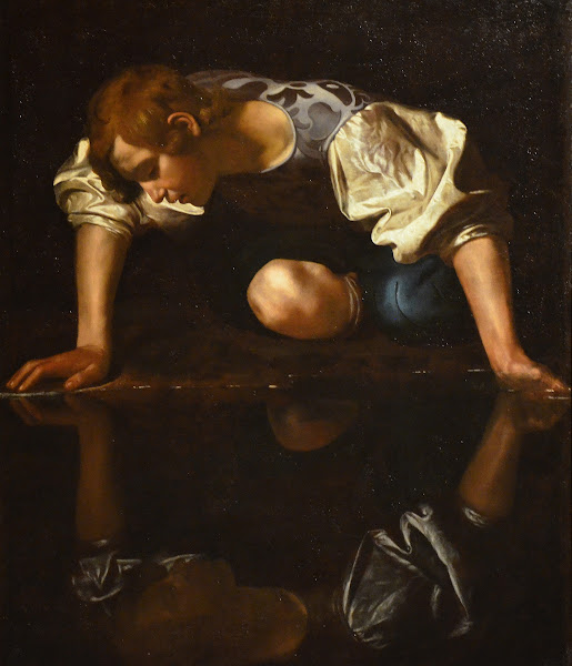 Narcissus 15971599