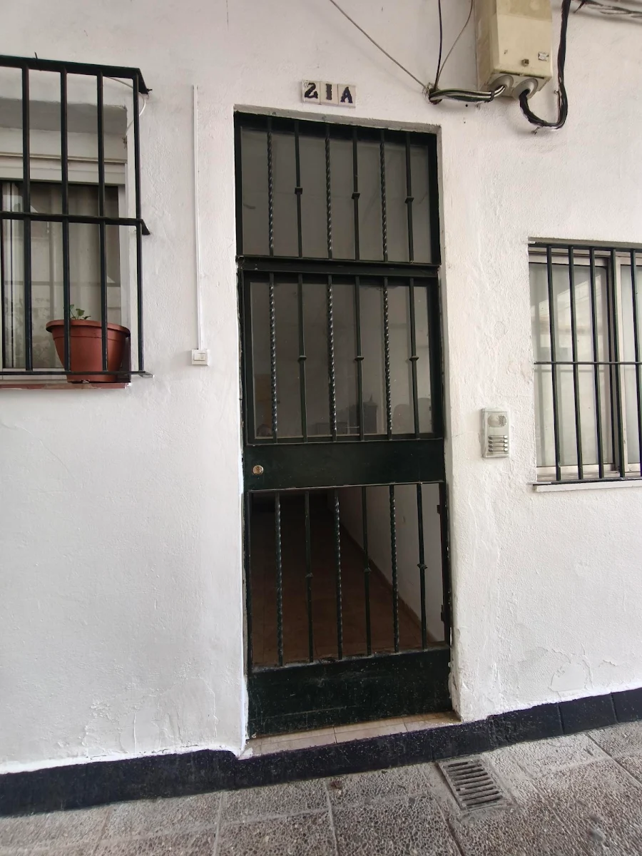 Imagen 6