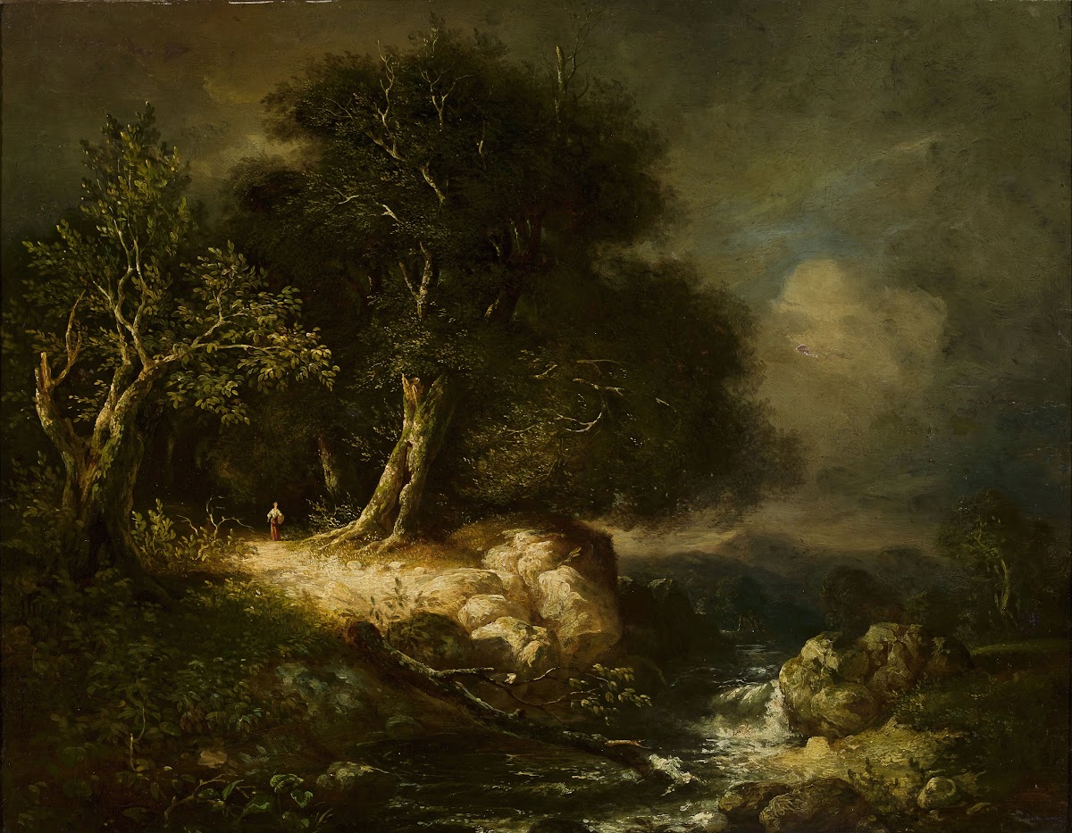 Forest landscape with a road and a river