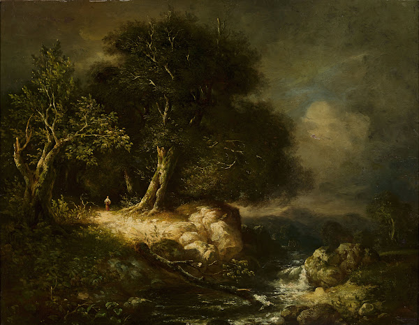 Forest landscape with a road and a river