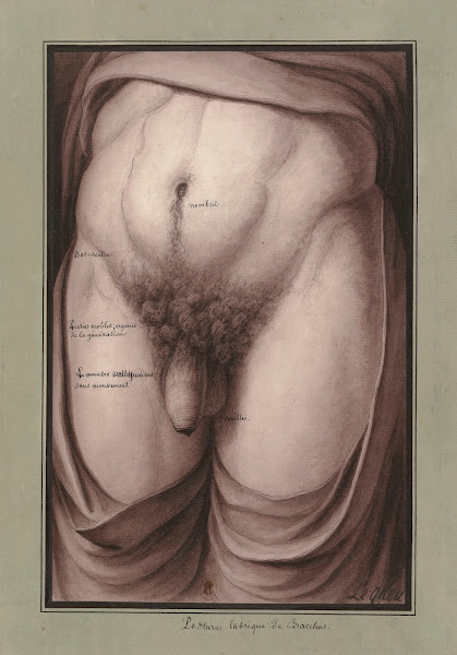 Posture lubrique de Bacchus