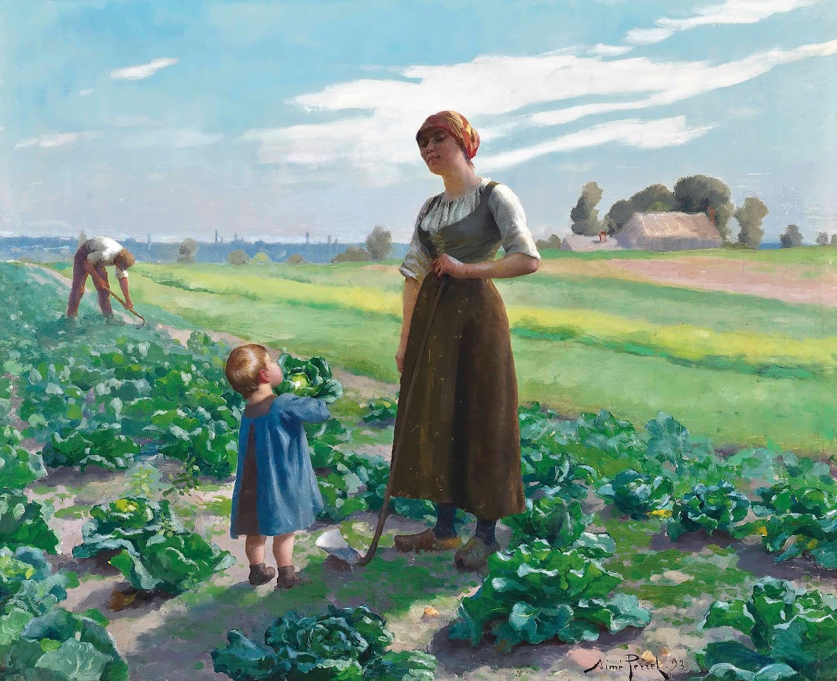 The Lettuce Patch 1893