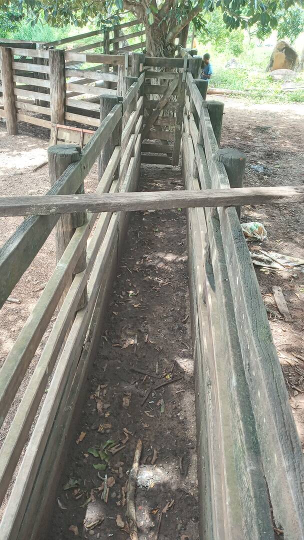 Fazenda no Município de Niquelandia - GO 2