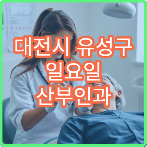 대전시 유성구 일요일 산부인과 진료 병원 여성 질환 주말 진료