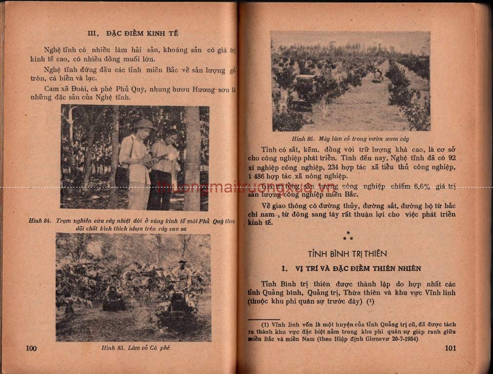 Tập san : Mực tím (số 61 - 1992) - Trang 51