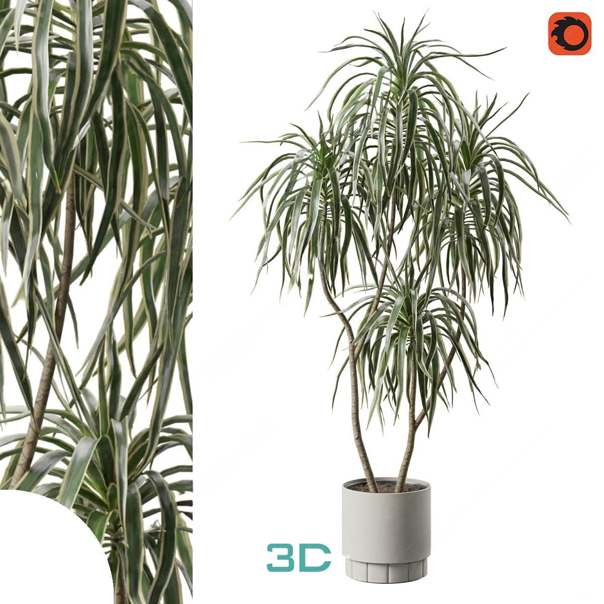 978.Sell Album Indoor Plant PRO Vol 01