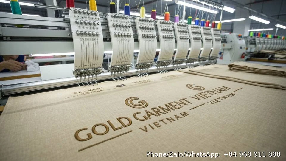 Linen Sarees Wholesale - Gold Garment Vietnam
