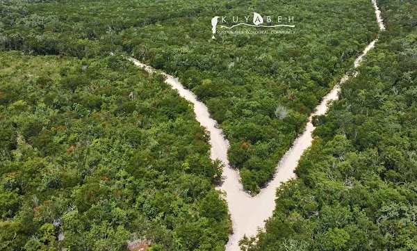 Kuyabeh – photo 2